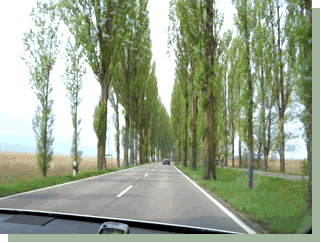 ライヒャナウ島へ渡る道
