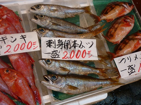 写真2