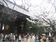 靖国神社